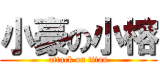 小豪の小榕 (attack on titan)