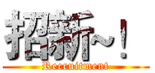 招新~！ ( Recruitment )