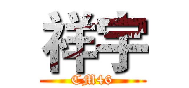 祥宇 (CM46)