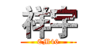 祥宇 (CM46)