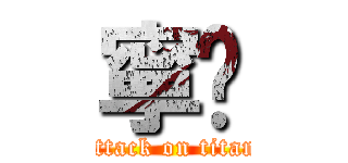 寧婧 (attack on titan)