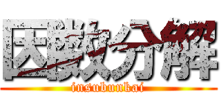 因数分解 (insubunkai)