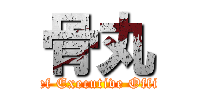 骨丸 (Chief Executive Officer)