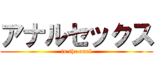 アナルセックス (in the anal)