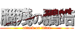 腦殘の鵬皓 (attack on titan)