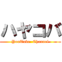 ハヤコバ (YouTube  Channel)