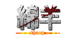綿羊 (sheep)