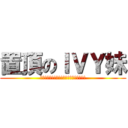 置頂のＩＶＹ妹 (一早起來不知道為什麼就成了吉祥物讓人讚賞)