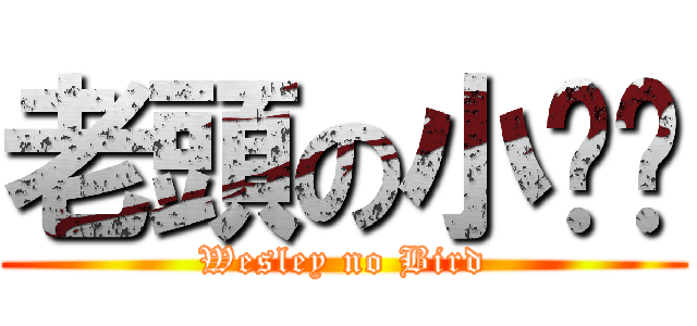 老頭の小雞雞 (Wesley no Bird)