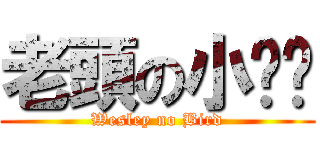 老頭の小雞雞 (Wesley no Bird)