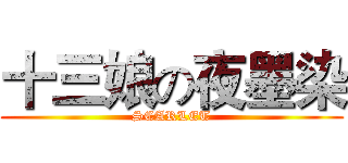 十三娘の夜墨染 (SCARLET)