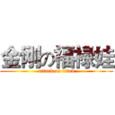 金刚の福禄娃 (attack on titan)