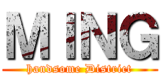 ＭＩＮＧ (handsome District)