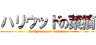 ハリウッドの菜摘 (Hollywood on nathumi)