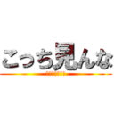 こっち見んな (何やねんほんま)