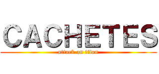 ＣＡＣＨＥＴＥＳ (attack on titan)