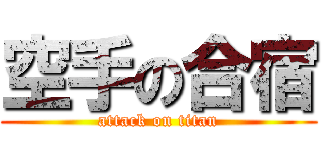 空手の合宿 (attack on titan)