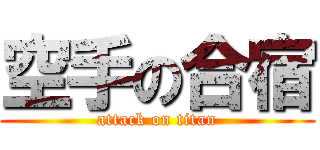 空手の合宿 (attack on titan)