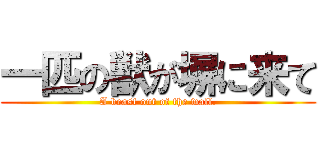 一匹の獣が塀に来て (A beast out of the wall.)