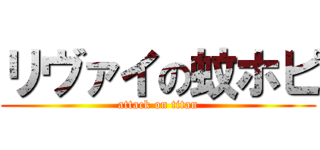 リヴァイの蚊ホピ (attack on titan)