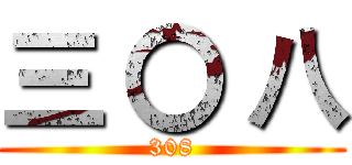 三 〇 八 (308)