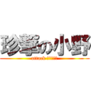 珍撃の小野 (attack ちゃ〜んす)