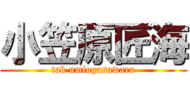 小笠原匠海 (tak umiogasawara)