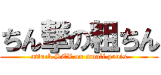 ちん撃の粗ちん (attack SEX on small penis)