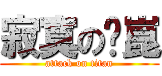 寂寞の洨崑 (attack on titan)
