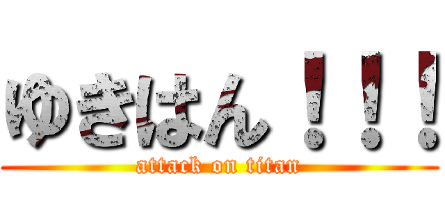 ゆきはん！！！ (attack on titan)