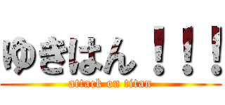 ゆきはん！！！ (attack on titan)