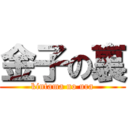 金子の裏 (kintama no ura)