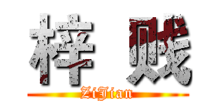 梓  贱 (ZiJian)