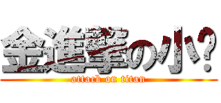 金進撃の小乔 (attack on titan)