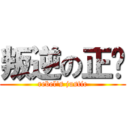 叛逆の正义 (rebel\'s justic)