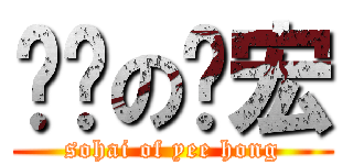 傻嗨の亿宏 (sohai of yee hong)