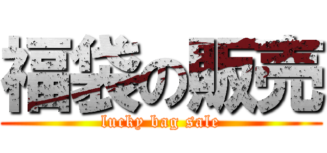 福袋の販売 (lucky bag sale)