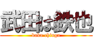 武田は鉄也 (baka chinga)