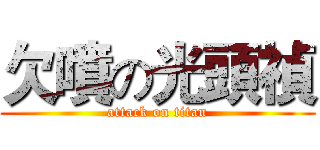欠噴の光頭禎 (attack on titan)