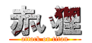 赤い狸 (attack on titan)