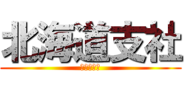 北海道支社 (医療チーム)