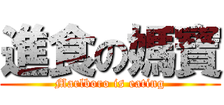 進食の媽寶 (Marlboro is eating)