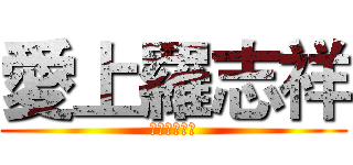 愛上羅志祥 (在轉角遇到愛)