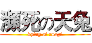 瀕死の天兔 (dying of usagi)