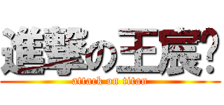 進撃の王宸龙 (attack on titan)