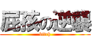 屁孩の逆襲 (bitch)