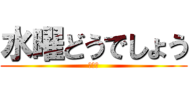 水曜どうでしょう (大泉洋)