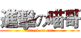 進擊の喵哥 (attack on cat)