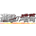 進擊の喵哥 (attack on cat)