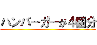 ハンバーガーが４個分 ()